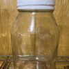 Quart Jar w/or without feeder lid
