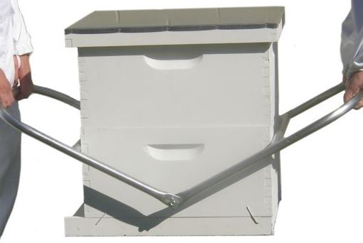 Hive Carrier