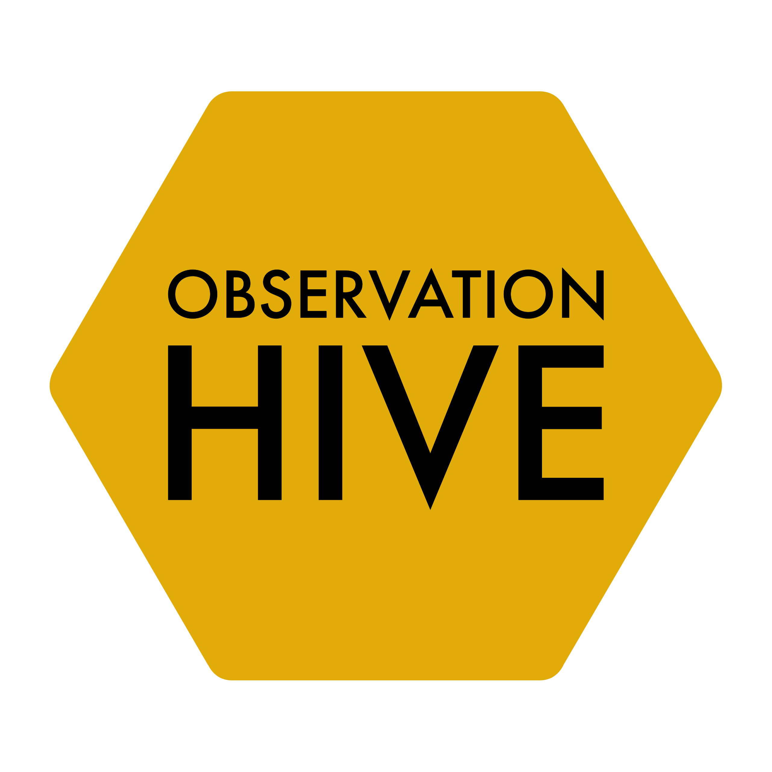 observationhive 10 Frame Single Hive Kit Assembled or Unassembled