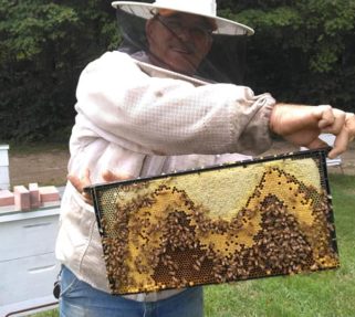 The Honey And Bee Connection – Simply, The Best Prices On Quality Bee 