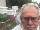 The Honey and Bee Connection Beekeeper