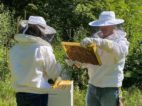 The Honey and Bee Connection Beekeeper